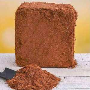 Bloque de Fibra de Coco 100% Natural, Substrato para Cultivo de Plantas, Alta Retención de Agua, Ligero, Biodegradable, Tamil Nadu - Product Image 2