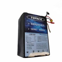 YDPACK SS210-1253 Kepadatan Energi Tinggi 320Wh/kg, 12S53Ah