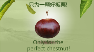 เกาลัดอบปอกเปลือกออร์แกนิก ปี 2026 ยี่ห้อเทียนจินจิลิหยวน 80 กรัม x 50 ถุง อายุการเก็บรักษา 18 เดือน - Product Image 6