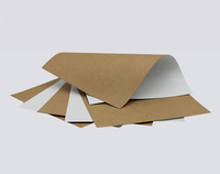 Papier kraft 70-200gsm Premium White Top Test Liner pour l'impression et l'emballage
