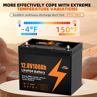 Batterie solaire LiFePO4 12,8 V 100 Ah 200 Ah pour système hors réseau, batterie de secours domestique au lithium fer phosphate avec BMS
