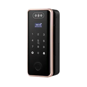 Tecnologia 3D intelligente ottica Ir riconoscimento Id viso Tuya Smart glass Lock impronta digitale Palm Print password Door Lock