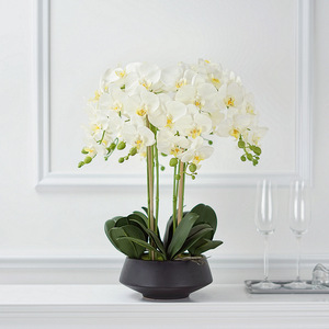 Orchidea farfalla in vaso artificiale all'ingrosso con vaso nero <span class=keywords><strong>per</strong></span> la decorazione della casa - Product Image 1