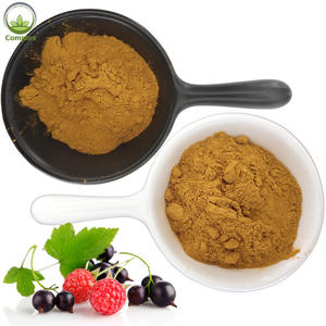 Faitury grosir bubuk buah organik Herbal 10:1 20:1 bubuk ekstrak Raspberry hitam - Product Image 4
