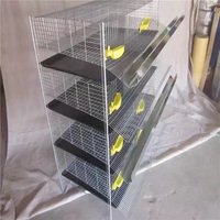 Nouvelle cage à cailles galvanisée en fil métallique de type H à 3-4 niveaux multi-couches pour élevage avicole, facile à utiliser