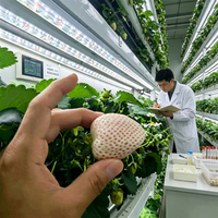 Usine de culture de conteneurs intelligente et entièrement automatisée Seedafarm, taille personnalisable, garantie fabricant 1 an, Chine