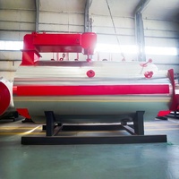 Chaudière à vapeur à gaz automatique de bonne qualité 2000 kg 4000kg pour la pasteurisation