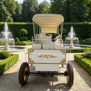 Charrette royale électrique de luxe avec intérieur personnalisé pour les parcs à thème, les zones panoramiques et les visites touristiques - Product Image 3