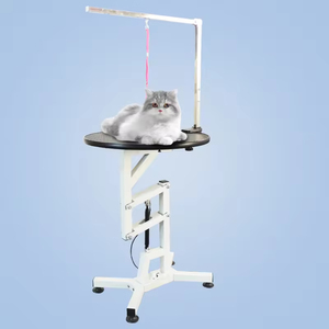 <span class=keywords><strong>Table</strong></span> de toilettage pour animaux de compagnie en acier inoxydable Lehuo avec fonction de levage électrique, élimination des poils, source d'alimentation rechargeable - Product Image 1