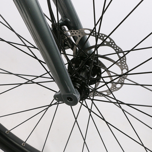 Green Life-Vélo électrique <span class=keywords><strong>de</strong></span> 36V et 250W, 26 pouces, 700C, frein à disque sur la roue arrière, vélo tout-terrain électrique, vélo <span class=keywords><strong>de</strong></span> ville électrique pour femmes - Product Image 5