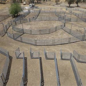 Clôture en barreaux de fer galvanisé pour ranch - Product Image 3