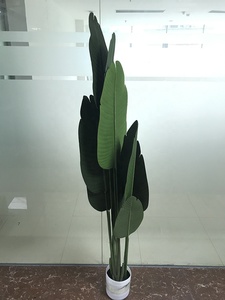 Guangdong Simulated Decorative Artificial Ornamental Traveler Banana Tree <strong>Plastic</strong> <strong>Plants</strong> for Home Hotel - Product Image 6