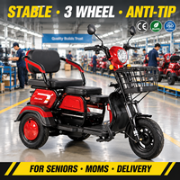 Vélo électrique à 3 roues, moteur sans balais 1000W, batterie au plomb-acide 48V 20Ah, autonomie de 60 km, tricycle de mobilité pour personnes âgées et adultes