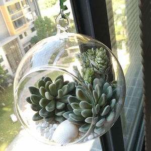 Real Touch Faux <span class=keywords><strong>Suculentas</strong></span> Artificial Echeveria <span class=keywords><strong>Suculentas</strong></span> Selecciones Cactus en verde flocado 3,33 "de ancho X 5" Plantas altas Cactus - Product Image 2