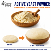 High Sugar Fermentation ≥500mL/h Active Yeast Powder Supply Rich Flavor for Bakery and Chinese Steamed Food Production