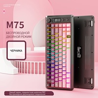 Clavier de jeu mécanique sans fil double mode russe FREE WOLF M75 avec touches PBT dégradées, rétroéclairage RVB, touches programmables USB-C