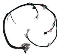 Motorcycle Main Electrical Wiring Harness for Yamaha YBR 125 E ED 2006-2008 Replacement