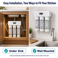 Système de purification d'eau de cuisine en 3 étapes, membrane en fibres creuses UF 0,01 μm, filtre PP CB, montage sous évier, 2 LPM