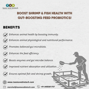 สารเสริมโภชนาการโปรไบโอติกสำหรับการเพาะเลี้ยงสัตว์น้ำเพื่อสุขภาพและการเจริญเติบโตของปลาที่ดีที่สุด - Product Image 1