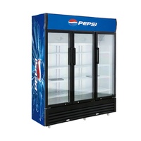 Armoire Réfrigérée Commerciale Haut de Gamme à Double Porte pour Vins et Boissons, Réfrigération Directe, Vitrine Réfrigérée à Porte Vitrée