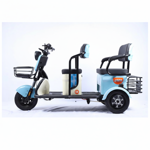 รถสามล้อไฟฟ้าขายดีปี 2025 600W 48V ความเร็วเดียว โครงเหล็กกล้าคาร์บอนสูง เบรกดรัม 3 ล้อ สกู๊ตเตอร์สำหรับผู้โดยสารผู้ใหญ่ - Product Image 1