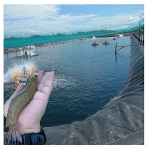 Revestimiento para Estanques, Lagos Artificiales, Piscinas, 0.75mm 0.5mm, Revestimiento para Estanques de Peces, Revestimiento para Estanques Agrícolas, Geomembrana de HDPE, Impermeable Industrial - Product Image 1