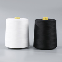 1kg carrete de hilo de coser 40/2 carretes de hilo de poliéster para coser acolchado Overlock y bordado a mano