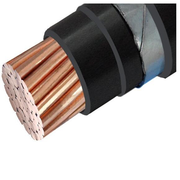 Single Core Modified Polypropylene Insulated Double Steel Wire Armored Load Bearing Detection Cable
