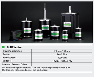 Motores dc personalizables 12v 24v 36v 48v 220v 310v alta calidad 3w hasta 2200w Dc <span class=keywords><strong>Motor</strong></span> sin escobillas motores eléctricos <span class=keywords><strong>micro</strong></span> bldc - Product Image 5