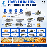 Machine à frites de haute qualité 500, équipement pour la production de frites, ligne de production de frites surgelées
