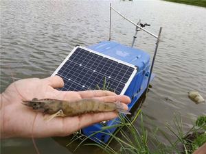 태양광 발전 자동 자동 물고기/새우 피더 - Product Image 5