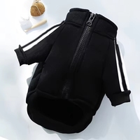 Manteau en jean de luxe pour chiens, style pull de créateur, petite taille, motif lettres, vêtement mignon pour animaux de compagnie