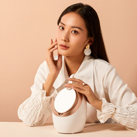 Uso en el hogar Nano Spray Facial Steamer Beauty Humidificador Steam Face Instrument con Hot Steam Car Application