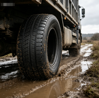 Neumáticos de Invierno para Automóviles de Pasajeros DOVROAD ZYPHIRAN, Venta al por Mayor de Fábrica, 225/55R19, Antideslizantes, Resistentes al Frío