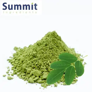 Wholesale Moringa Extract Powder Moringa Powder Moringa Leaf Powder