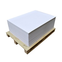 Papier journal premium 45 g/m² à surface lisse pour impression/marquage