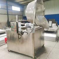 Roestvrijstalen Industriële Automatische Voedselgasfrituurmachine Batch Friteuses Voor Snacks Bananenchips Chips Frituren