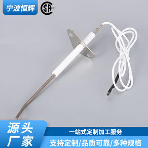 Capteur de flamme IDXLFLS1930 pour cuisinières à gaz et chauffe-piscine, pièce de rechange, capteur de sécurité, détection 25mm - Product Image 3