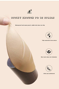 Vente chaude Shell femmes poitrine poitrine Patch sans couture sans bretelles femmes <span class=keywords><strong>soutien</strong></span>-<span class=keywords><strong>gorge</strong></span>, astringent, Invisible <span class=keywords><strong>soutien</strong></span>-<span class=keywords><strong>gorge</strong></span> Lingerie accessoires - Product Image 5