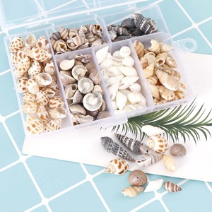 About 100Pcs/Box Natural Conch <strong>Shells</strong> Aquarium Landscape Seashells Crafts Decor Home Decoration DIY Craft Conch <strong>Shell</strong> Pendant - Product Image 1