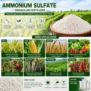 Engrais au sulfate d'ammonium, cristaux blancs de qualité pour l'apport en azote et la santé du sol - Product Image 2