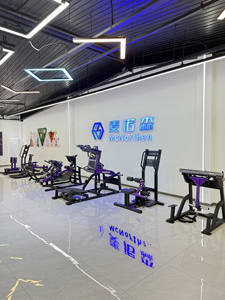 Macchina per Estensione Schiena Regolabile in Acciaio per Uso Commerciale con Pila di Pesi da 80 kg - Product Image 6