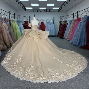 Vestidos de Quinceañera Dy6943 para Niñas de 15 Años, con Apliques, Lentejuelas Naturales, Encaje, Cuentas, Corsé con Cola, Diseño Floral - Product Image 6