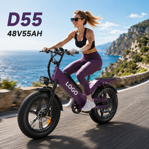 <span class=keywords><strong>Vélo</strong></span> de route <span class=keywords><strong>électrique</strong></span> grande capacité D55 48V 55AH, <span class=keywords><strong>vélo</strong></span> de trekking <span class=keywords><strong>électrique</strong></span> pour le cyclisme, <span class=keywords><strong>prix</strong></span> de gros usine - Product Image 1