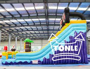 20ft cao thương mại Dual Lane đại dương trượt nước Inflatable bãi biển trượt nước với hồ bơi để bán - Product Image 4