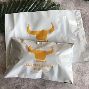 Bolsa de Envío para Ropa, Reciclable, con Logotipo Personalizado Impreso, Bolsa de Plástico para Envíos Postales, Embalaje para Productos - Product Image 3