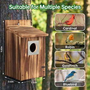 Nichoirs pour oiseaux robustes en bois carbonisé, protection contre les prédateurs, pour bleuets, moineaux, hirondelles, pinsons, boîtes de nidification extérieures faciles à nettoyer - Product Image 4