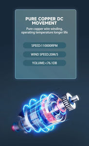 Secador de Pelo Plegable de Secado Rápido con Difusor para Cabello Rizado, Grueso y Fino, Iones Negativos, Silencioso y Profesional - Product Image 4