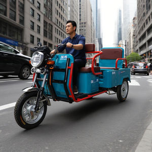 QSD listrik sepeda roda tiga, elektrik skuter Model baru QS-1M 1 + 2 penumpang 300kg 3 roda - Product Image 6