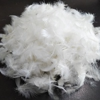 Tissu blanc délavé en plumes de canard, oreiller avec insertion de plumes pour hôtel, 24, lot de 1